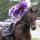 Ten Sovereigns in Ascot. www.galoppfoto.de - Sandra Scherning