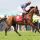 Frozen Fire - hier mit Michael Kinane - beim Aufgalopp in Epsom. www.galoppfoto.de