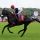 Grand Vintage mit Stephane Pasquier beim Aufgalopp zum Prix du Moulin in Longchamp 2014. Foto: Dr. Jens Fuchs