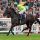 Libranno mit Pat Cosgrove beim Aufgalopp in Royal Ascot. www.galoppfoto.de - Frank Sorge