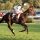 Martessa mit Terence Hellier beim Aufgalopp in Longchamp 1991. www.galoppfoto.de - Peter Heinzmann