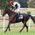 Mister Mo mit Bayarsaikhan Ganbat beim Aufgalopp vor dem BBAG-Auktionsrennen in Hannover 2018. www.galoppfoto.de - Sabine Brose