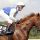 Nobileo mit Terence Hellier beim Aufgalopp zum Deutschen Derby, bei dem er 14. wurde. wwww.galoppfoto.de - Frank Sorge