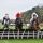 Saldier (rechts) gewinnt mit Danny Mullins im Gr. I über Hürden in Punchestown. Foto: Jimmy Clark