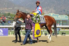 Blumenschmuck für Groupie Doll und Rajiv Maragh nach dem Sieg im Breeder's Cup Filly & Mare Sprint. Foto: www.galoppfoto.de - Peeo Ploff/Sorge