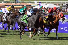 Tag der Doppelsiege. Mizdirection wiederholt ihren Vorjahreserfolg im Breeders' Cup Turf Sprint. Foto: www.galoppfoto.de - Petr Guth/Sorge