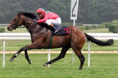 Eiswind gewinnt den EBF-European Breeders Fund-Cup (L.) in Düsseldorf. www.galoppfoto.de