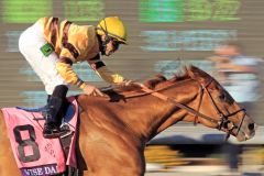 Nach einem zweiten Platz wieder auf der Siegerstraße. Wise Dan siegt in der BC Mile. Foto: www.galoppfoto.de - Petr Guth/Sorge