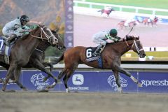 Ein Start-Ziel-Sieg, wenn auch umkämpft, gelang Mucho Macho Man im Breeders' Cup Classic. Foto: www.galoppfoto.de - Peeo Ploff/Sorge