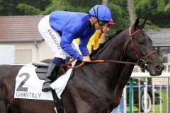 Manatee mit Jockey Mickael Barzalona beim Aufgalopp- www.galoppfoto.de - Sandra Scherning