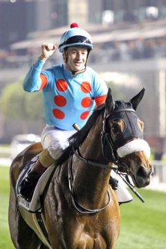 Almond Eye nach ihrem Sieg im Dubai Turf unter Christophe Lemaire. www.galoppfoto.de