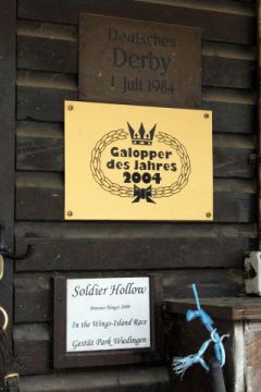 Soldier Hollows Box in Köln. www.galoppfoto.de