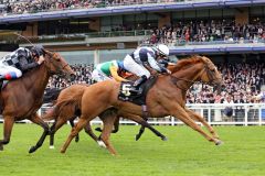 Nach Irland entführt: die Duke Of Cambridge Stakes durch den Sieg von Duntle. Foto: www.galoppfoto.de - Frank Sorge