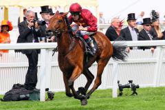 Kiyoshi und Jamie Spencer bescherten Qatar Racing den einzigen Gruppesieg des diesjährigen Royal Ascot-Meetings. Foto: www.galoppfoto.de - Sandra Scherning