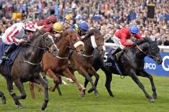 Sieg für den Dauerbrenner Sole Power (l.), der die Palace House Stakes zum zweiten Mal in Folge gewann.  Foto: www. galoppfoto.de - Jim Clark/Sorge