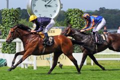 Er schlug den heißen Favoriten Battle of Marengo in dem King Edward VII Stakes: Hillstar mit Ryan Moore im Sattel. Foto: www.galoppfoto.de - Sandra Scherning