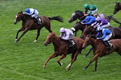 Dutch Connection gewinnt für Charles Hills und Jim Crowley die Jersey Stakes. www.galoppfoto.de - Frank Sorge