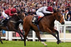 Das sah nach mehr aus: Baitha Alga und Frankie Dettori gewinnen die Norfolk Stakes gegen stark eingeschätzte Konkurrenz.  Foto: www.galoppfoto.de - Frank Sorge