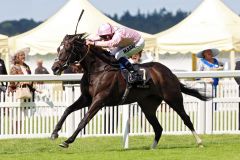 Schlug die kochend heiße Favoritin Treve in den Prince of Wales's Stakes: The Fugue. Foto: www.galoppfoto.de - Frank Sorge