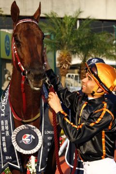 Posing für die Fotografen nach dem Sieg. Auf dem Weg zum Sieg: Able Friend und Joao Moreira gewinnen die Hong Kong Mile. www.galoppfoto.de - Frank Sorge