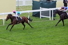 Die Ribblesdale Stakes - ein emotionaler Sieg für das Team um Lady Cecil durch Riposte. Foto: www.galoppfoto.de - Frank Sorge