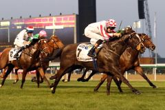 Beim vierten Versuch im Al Quoz Sprint gelang Sole Power endlich der erste Sieg. Foto: Peter Heinzmann