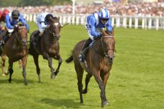 Spaziert auch in den King George VI and Queen Elizabeth Stakes förmlich zum Sieg - Taghrooda. Foto: www.galoppfoto.de - Jim Clark/Sorge