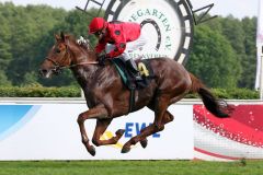 Jammy Shot gewinnt mit Jozef Bojko in Hoppegarten. www.galoppfoto.de 