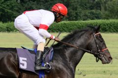 Scalo beim Aufgalopp zum Union-Rennen. Foto: Sandra Scherning