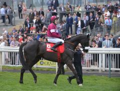 Don Cossack mit Anthony McCoy als Sieger in der Melling Chase. www.galoppfoto.de - John James Clark