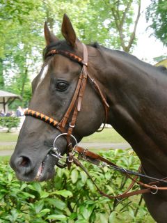 Amaron in Dortmund im Porträt. Foto: Karina Strübbe