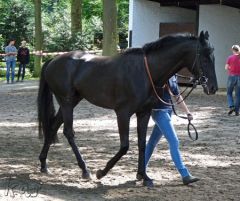 Coreander in Düsseldorf - Foto: Karina Strübbe