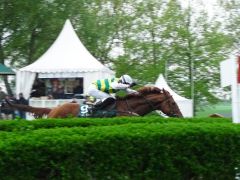 River Storm Dancer auf dem Weg zum Sieg im 110. Grosses Heinrich Vetter-Badenia-Jagdrennen. Foto Karina Strübbe