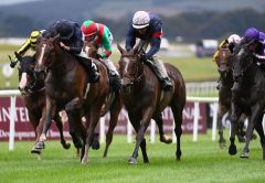 Die American Pharoah-Tochter Above the Curve holt sich die Blandford Stakes. Foto: courtesy by Coolmore