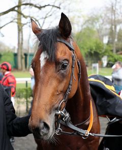 Accon am 31.3.2019 in Düsseldorf - Foto: Dr. Jens Fuchs