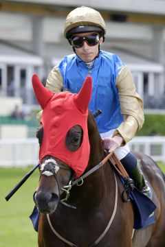 Aesterius, hier unter William Buick in Royal Ascot. www.galoppfoto.de - JJ Clark