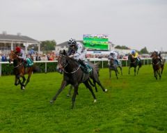 Der Ausflug nach England wird belohnt: Agnes Stewart siegt mit William Lee in den May Hill Stakes. Foto ITM