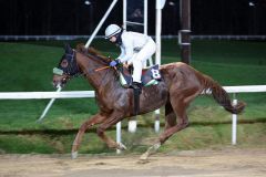 Air Attack gewinnt mit Darren Moffat im Sattel das erste Rennen des Jahres 2015 in Dortmund. Foto: Dr. Jens Fuchs