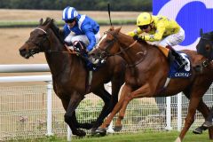 Al Aasy ist auch mit sieben Jahren gut genug für einen Gruppe-Sieg. Foto: Goodwood Racecourse