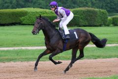 Alissio mit Daniele Porcu beim Aufgalopp in Köln. www.galoppfoto.de (Archiv) - Sandra Scherning