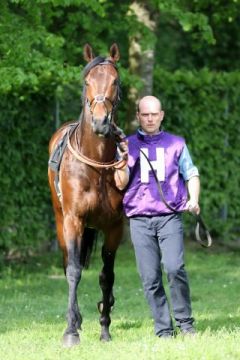 All for Arthur landete im Preis von Dahlwitz doch noch auf dem Treppchen. Foto: Dr. Jens Fuchs