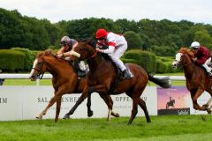 Gestüt Ittlingens gewinnt mit Adrie de Vries bei seinem zweiten Start. www.galoppfoto.de - Sandra Scherning