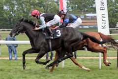 Erster Starter und erster Sieger seines Vaters Kamsin: Amazonit mit Harry Bentley gewinnt beim Debut in Köln. www.galoppfoto.de - Sandra Scherning