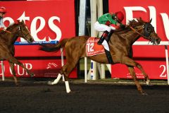 Animal Kingdom mit Joel Rosario gewinnt den Dubai World Cup. www.galoppfoto.de - Frank Sorge