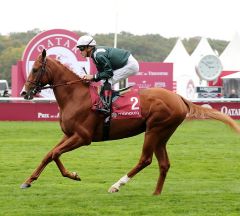 Anodor am 7.10.2018 in Longchamp - Foto: Dr. Jens Fuchs