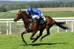 Aomori City kommt nach nicht einmal idealem Rennverlauf am Ende souveräner Sieger. Foto: Goodwood Racecourse