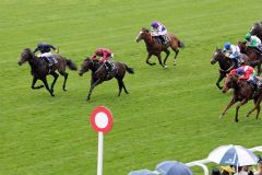 Arizona (li.) ist der erste Ballydoyle-Sieger bei Royal Ascot 2019. www.galoppfoto.de 