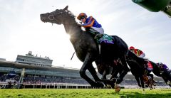 Auguste Rodin gewinnt nach einem bemerkenswerten Ritt von Ryan Moore. Foto: Breeders Cup/Alex Evers - eclipsesportswires