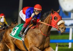 Russischer Sieg in den UAE 2000 Guineas durch Azure Coast. Foto: DRC