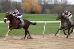 Beetle Star siegt mit Robin Weber vor Numerion  im Ausgleich III beim Finale der Sandbahn-Saison 2019-2020 in Dortmund. www.galoppfoto.de - Stephanie Gruttmann